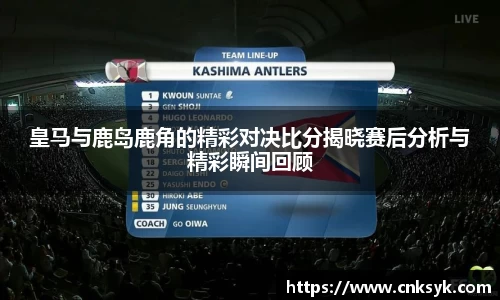 333体育官网